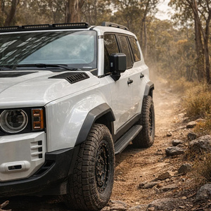 Landcruiser Prado 250  flares P30 Full Set 30mm wide